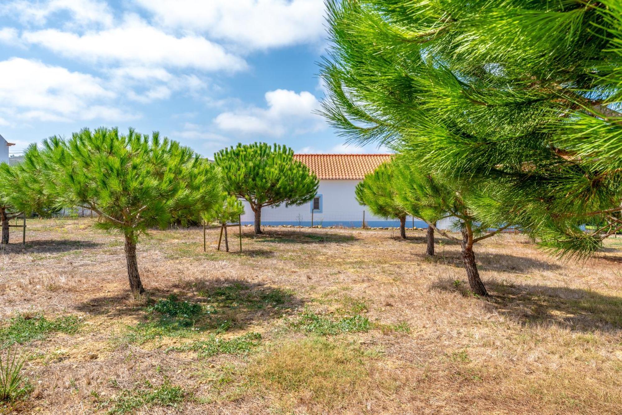 Quinta Da Bela Vista - Ericeira Villa Galiza ภายนอก รูปภาพ